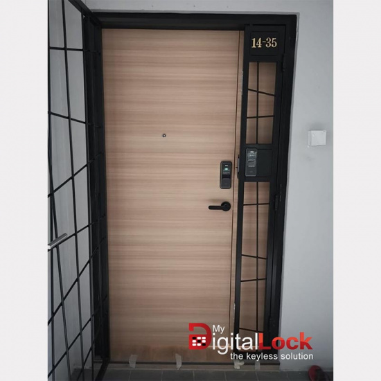 hdb-fire-rated-main-door_982294299