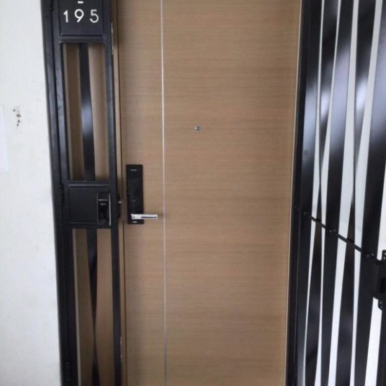 veneer-solid-hdb-main-door-double-leaf-47-feet1-570x570