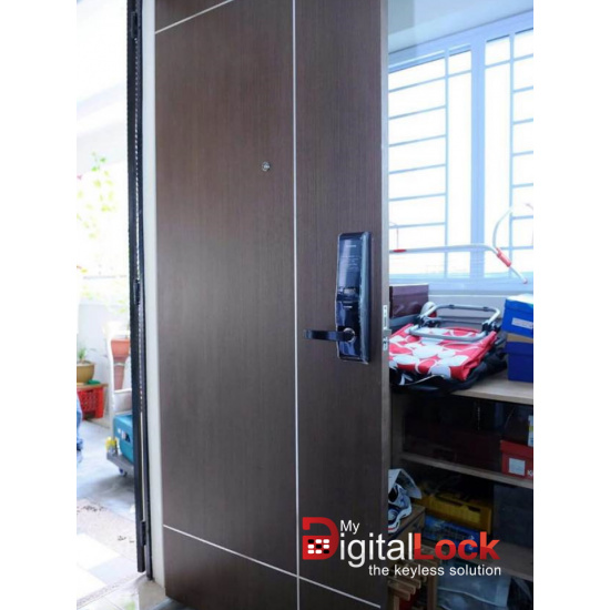 veneer-solid-hdb-main-door-single-leaf-37-feet-5_1332920938